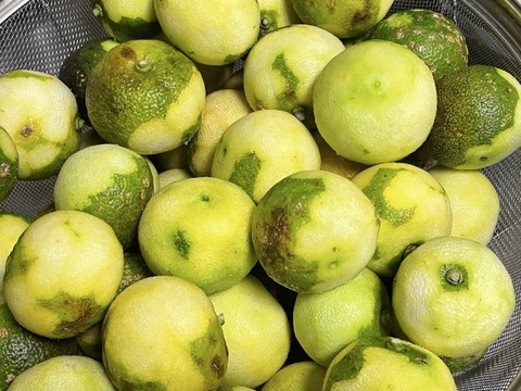 香り豊か！ゆず胡椒【鍋、ぎょうざ、煮物などに】