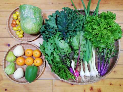 【農薬化学肥料不使用】ミカン入り野菜セット【８種類以上の野菜】【金曜日発送】【熨斗(のし)対応可】【８０サイズ箱】