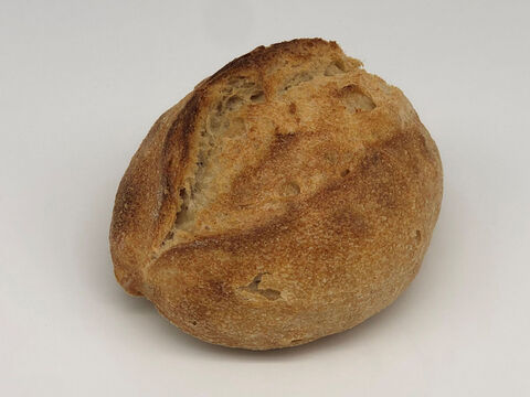 全部有機！麦の栽培から一貫生産　Singleパン⑲：自然栽培有機小麦のみ使用した有機クッペ2個