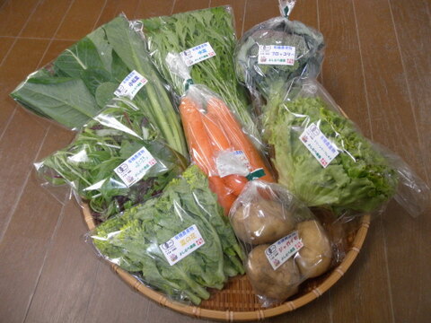 季節の有機野菜セット＜ライト＞※静岡以東の午前着は２日前発送になります