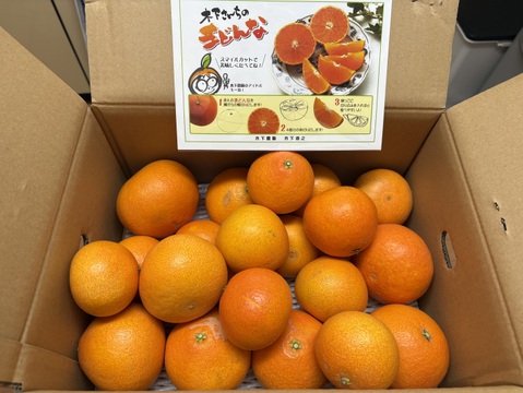 ☆農園1番人気☆まどんな　家庭用5キロ