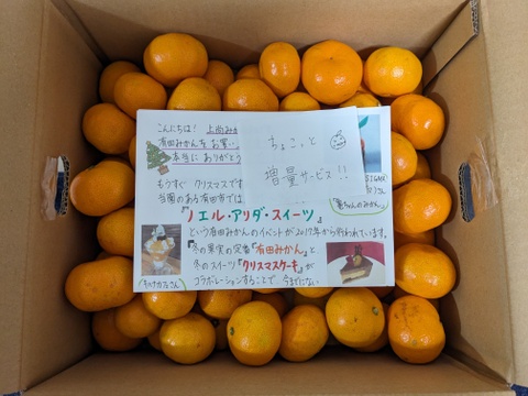 有田みかん【小粒小玉】5kg（箱込）