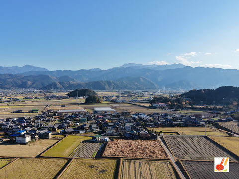 農家直送✅セレベス(赤目芋)の里芋🎁2kg M~LLサイズ(大きめの里芋❗️