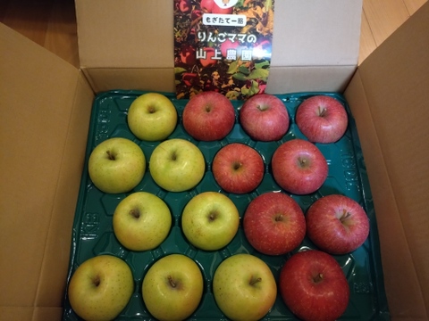 王林サンふじ食べ比べセット5キロ【りんご食べ比べ】