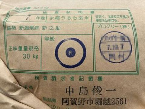 【福袋】　限定個数特別価格　新潟米豪華な食べ比べセット　新潟県産　従来種コシヒカリ　店頭で入手するのは難しい希少米　と　トップブランド　新之助（新潟県認証銘柄）　各白米5kgセット（10キロ）