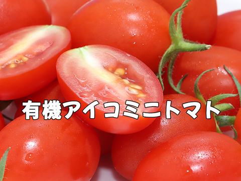 おいしい有機アイコミニトマト（1㎏）