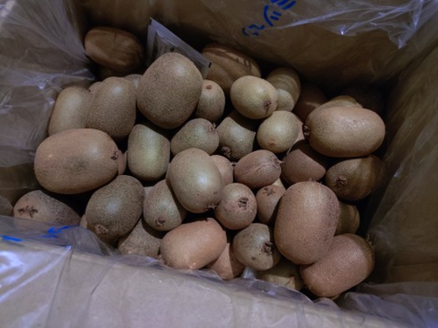 幻の一口キウイ！『さぬきキウイっこ®』訳あり・ご家庭用・2kg（30～40個）