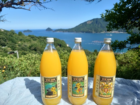 自然栽培！甘夏100%ストレートジュース
1㍑×3本