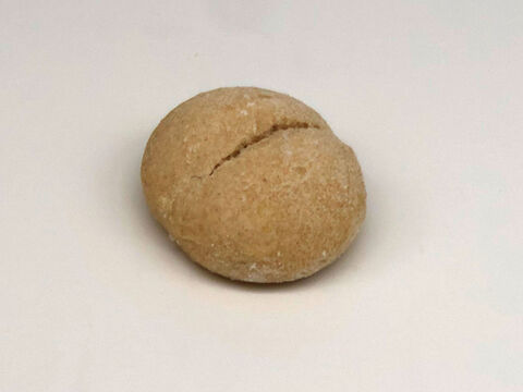 臀部有機！パンセット⑱：麦の栽培から一貫生産　自然栽培有機小麦のみ使用したソフト系有機パンセット（大）