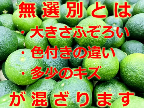 消毒無し！！すだち【無選別】2kg 三重県伊勢志摩産