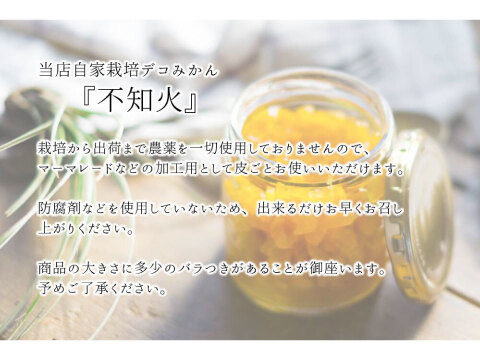 デコポンの発祥地熊本県産 露地栽培でプリプリデコみかん『不知火（しらぬい）』【８キロ（保証分プラス１キロ）】計９キロ 農薬不使用 除草剤不使用