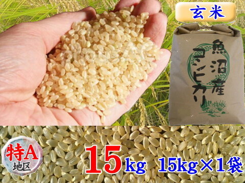 南魚沼産コシヒカリ玄米15kg(15k×1)令和3年産🌾