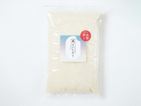 【定期便】2ヶ月１回の計６回配送！4.8kg×６（定期便12ヶ月） - 2024年 新潟県保内産コシヒカリ1等