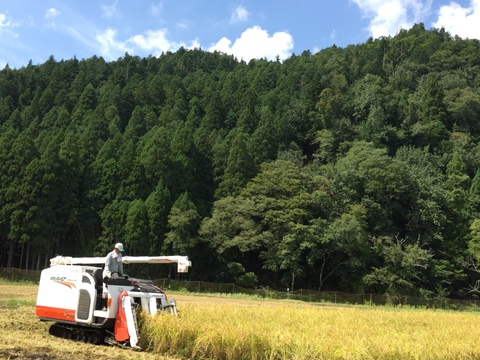 朝ごはんに納豆！大豆の力で免疫力UP！