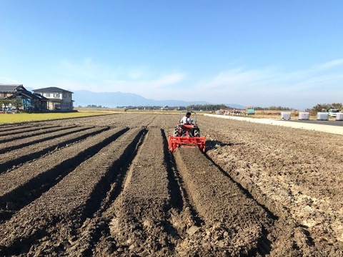 野菜ソムリエ厳選 農薬化学肥料不使用！
こだわり旬のお試し野菜セット！ 滋賀県産