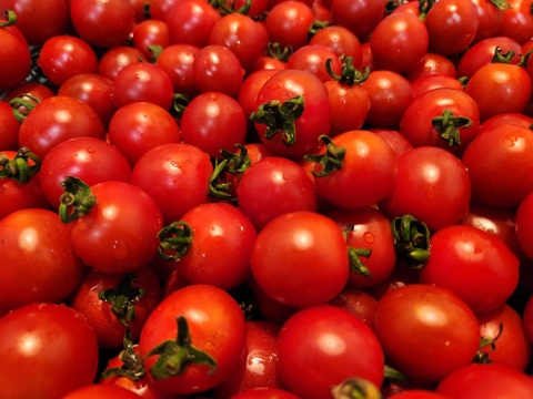 ステラミニトマト1kg 【甘くて美味しい貴重な固定種🍅】