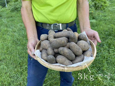 旨味たっぷり！山育ちジャガイモ『メークイン』5kg