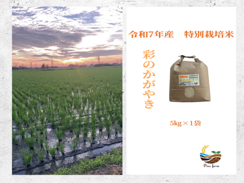 R7年産特別栽培米　彩のかがやき　5㎏