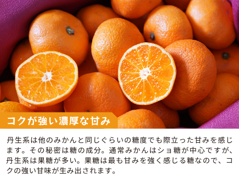 蔵出しみかん丹生系5kg｜和歌山県海南市下津町産。晩生みかんの最高級品種