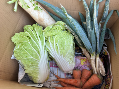 鍋に最適！　固定種の野菜セット12月 (師走)