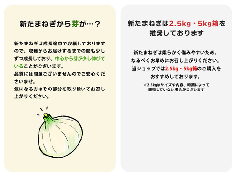 【大玉サイズ/10kg】淡路島産新たまねぎ 兵庫県認証食品 レシピ付き！