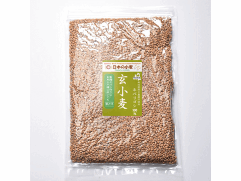 【栽培期間中農薬不散布】玄小麦 40kg 5kg×8 青森県産単一品100％使用 日本の小麦 「ネバリゴシ」