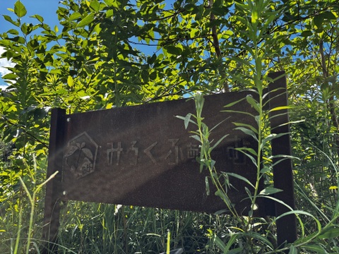 島育ち！東京都産『コロコロさつまいも』2kg