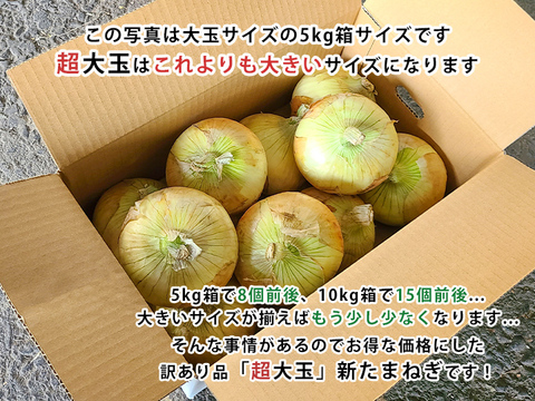 【超大玉につき訳あり商品！】淡路島産新たまねぎ 10kg 兵庫県認証食品