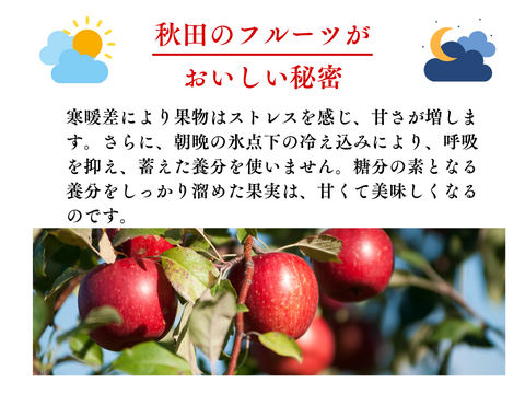 【訳あり】りんご ふじ  サンふじ 家庭用 10キロ 32～36玉 スッキリ美味しい 3kg  さんふじ リンゴ スイーツ 果物 安い 秋田