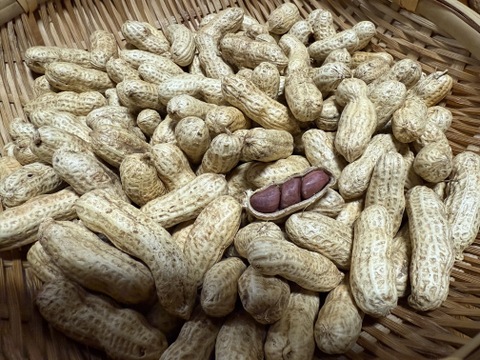 乾燥生落花生（油豆）在来種　600g　【おまけで試し焼き用100g増量❗】