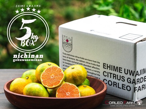 【EHIME UWAJIMA】秋の訪れを告げる爽やか極早生みかん<日南一号>！Aセレクション（家庭用良品）5kgBOX（正味)
