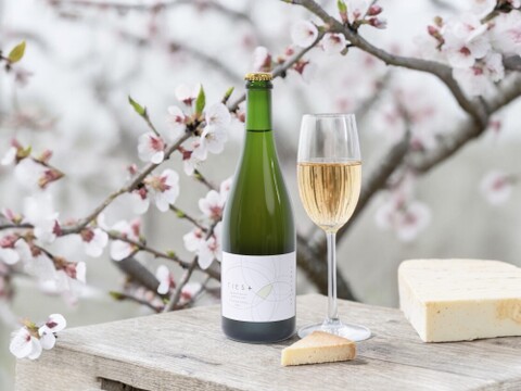 新定番！料理がおいしい梅ワイン　自然栽培の梅100%使用(無添加)
Japanese apricot sparkling wine 'TIES+' 750ml　4本セット
