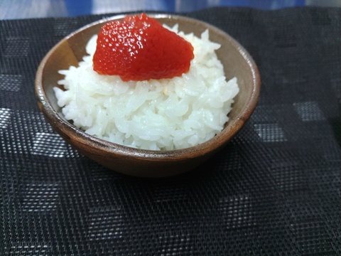 渓流 お刺身 サーモンフィレ大中込み約500g前後の2枚～3枚と焼サーモン棒寿司と酢シメサーモン押し寿司サーモントラウト塩筋子約180gセット