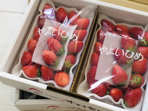 🤩チビッコ やよいひめ🤩小粒『群馬いちご』320g×4トレー