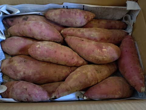 《熟成1ヶ月超えでお届け！》紅はるか（5kg）(茨城県産)・(サツマイモ)(Ⅿ～２Lサイズ)(土付き)