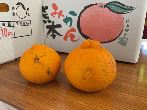 超〜お買い得❗️ちょっと訳ありだけどコク旨不知火　M〜2Lサイズ 24玉〜28玉（約7kg）