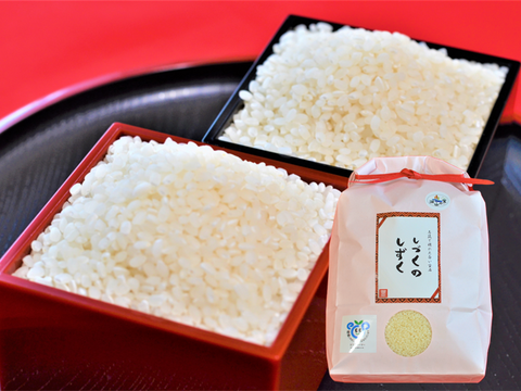 【令和7年産】毎日5合なら約26日分！茨城県産ミルキークイーン　しづくのしずく20kg（5kg×4袋）