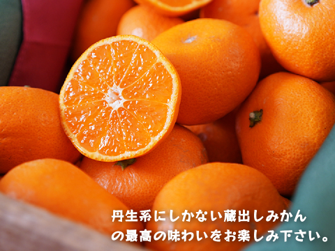 蔵出しみかん丹生系10kg｜和歌山県海南市下津町産。晩生みかんの最高級品種