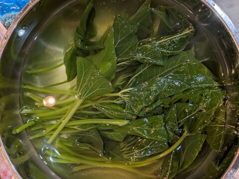 さつまいもの葉付きのツル🌿皮むき不用で便利☆約15cmほどの長さの茎葉、30本分☆小さく、柔らかめのさつまいもの葉と短く細いツル🌿そのまま茹でておひたしに🌿自然栽培☆メール便📩発送