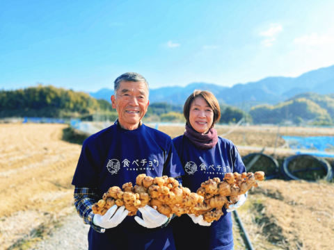 1kg【ちょっとよかショウガ】熊本の大地の恵みで育てた生姜