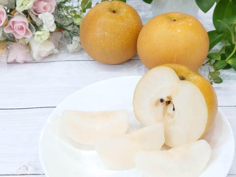 濃厚な美味しさ！果汁溢れる豊水梨  約3kg