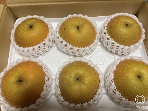 豊水 6～7玉【訳あり！お買い得品！】口の中に果汁がジュワ～♪と