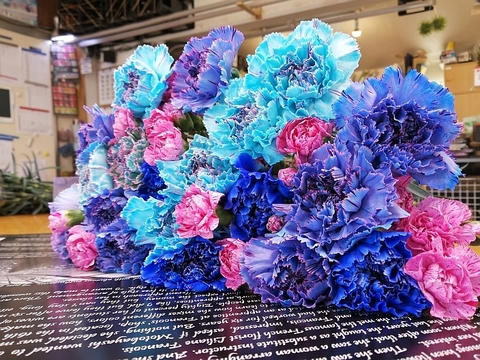 青いカーネーション花束 ｍｉｘ２５本 千葉県産 食べチョク 農家 漁師の産直ネット通販 旬の食材を生産者直送