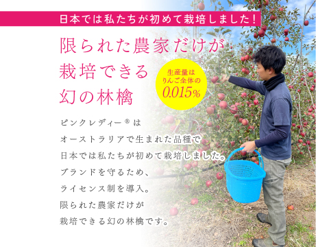 発送中🍎ピンクレディー®︎  10キロ箱 32玉〜66玉サイズ  長野県 信州 安曇野 リンゴ 幻 幻のリンゴ 予約 希少 ID99665ピンクレディー