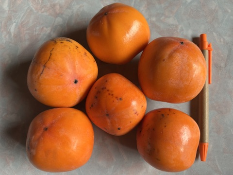 小さめ渋柿2Kg。柿酢など瓶詰めしやすい。干し柿にも