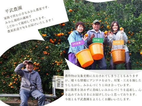 農家直送！きよみオレンジ　訳あり10kg  【平武農園】〜蛍飛ぶ町から旬の便り〜　和歌山｜有田｜田口｜ギフト