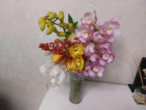 箱いっぱいの蘭・シンビジウムの切り花【アワード受賞福袋】いろいろな品種のシンビジウムが入るお楽しみ福袋