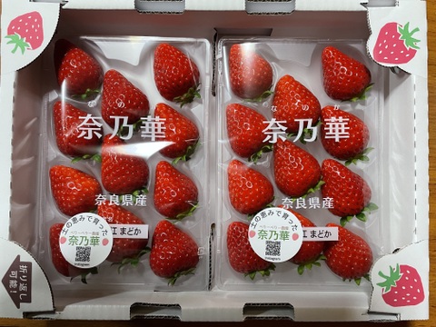 甘酸っぱい！奈良県産いちご奈乃華270g×2Ｐ