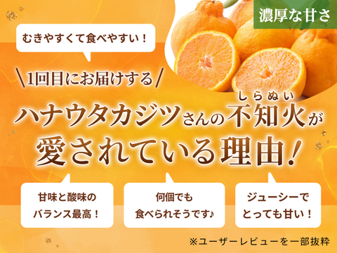 【限定200セット】冬の高級柑橘フルコース便🍊（食べチョク公式）