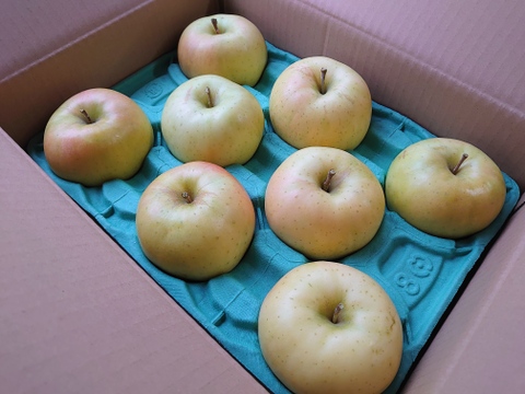 《予約受付》トキ  3kg（7個～11個）　青森県産りんご　家庭用